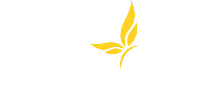 ASCEND a Women’s Sacred Pathway into Alignment